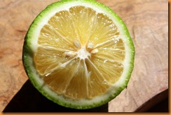 lemon 017