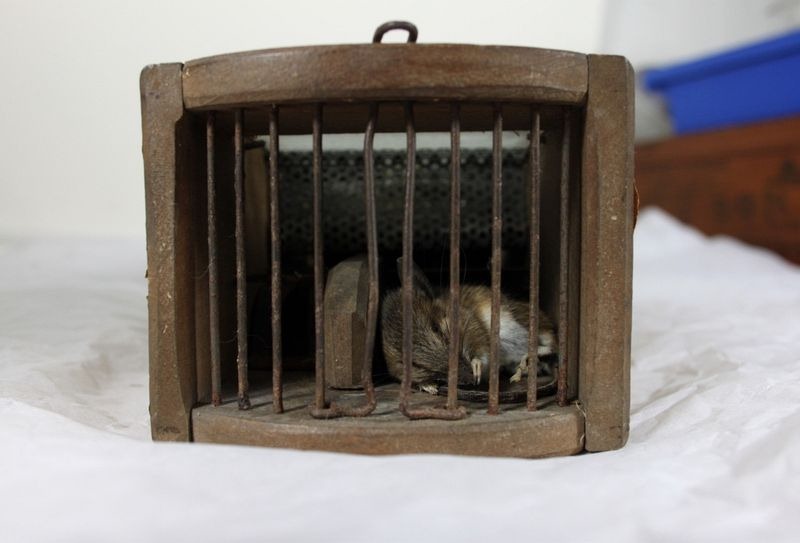 155-year-old-mouse-trap-museum-5
