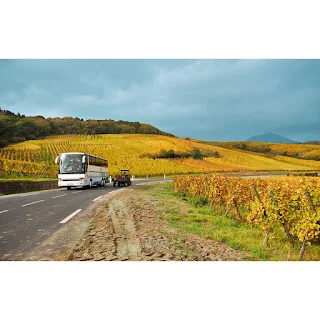 Tour in bus lungo la Strada del Franciacorta