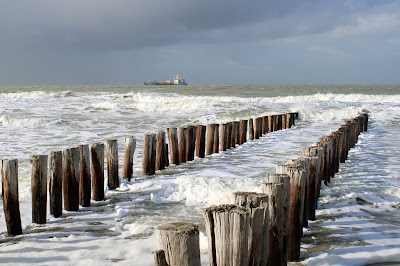 reisen, Urlaub, Tourismus, Niederlande, Zeeland, Walcheren, Domburg