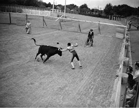 bloodless bullfight, 15 July 1941 worldwartwo.filminspector.com