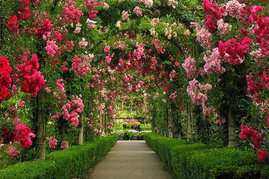 Ada 8 Taman Bunga Terindah di Dunia | MARHANI ROSYADAH