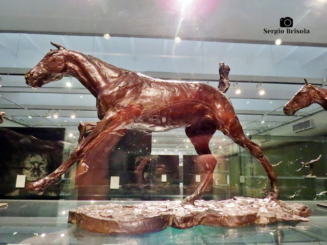 Close-up da Escultura Cavalo a Galope de Degas no MASP