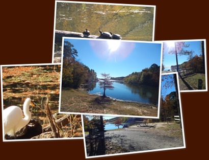 View album