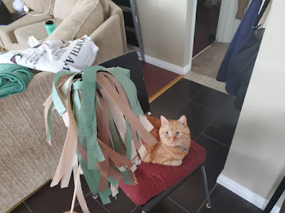 An orange cat sitting on a black and red chair looking at a brown and green sparkler craft