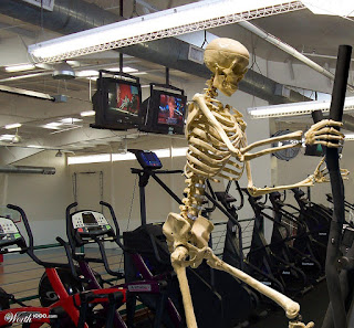 cardio skeleton blog