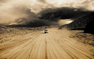 Desert Run Nature Wallpaper