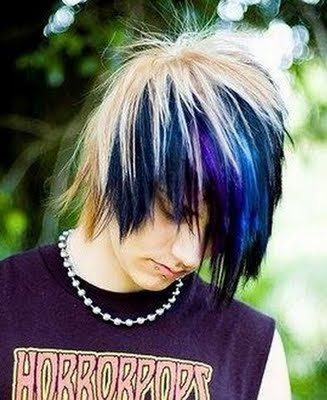 Very cool black and blonde emo hairstyle for boys with coontails.