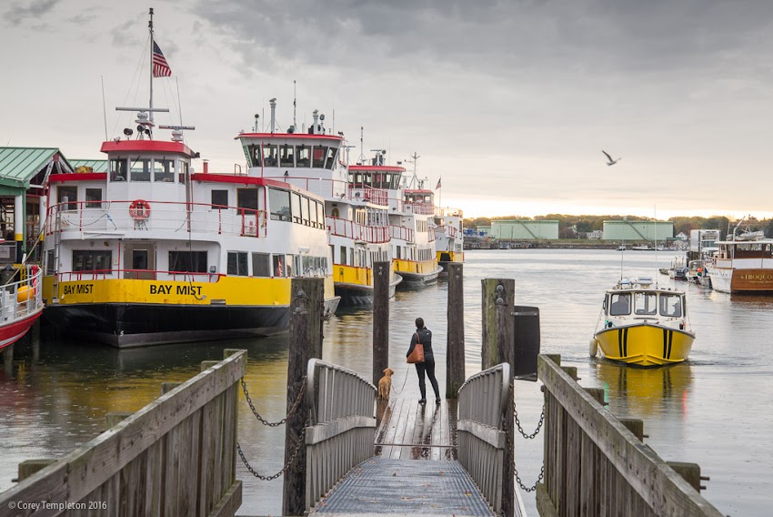Portland, Maine USA October 2016 photo by Corey Templeton of woman and her dog standing on pier off of Commercial Street and Maine State Pier on rainy fall morning on Casco Bay.