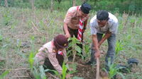 Saka Wanabakti Grobogan Gelar Peringatan Hari Tunas dengan Tanam Pohon di Wilayah Sendang Mantren