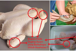 Makan 5 Bagian Ayam Ini Sama Saja Seperti Menelan Racun