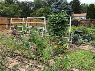 Trellises in Action