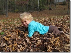 leaves 18mo 002