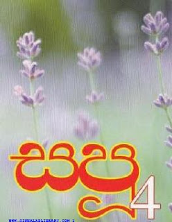 sapu sinhala novel