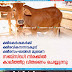 ക്ഷീര കര്‍ഷകര്‍ക്ക് സബ്‌സിഡി നിരക്കില്‍ കാലിത്തീറ്റ