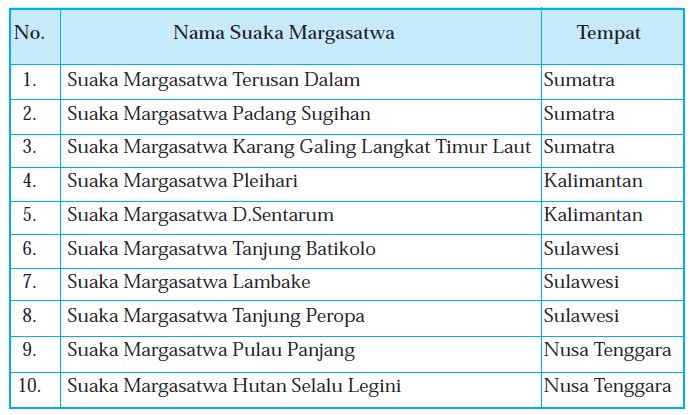 Contoh Dialog Bahasa Inggris Non Formal - 3 Glorios As 