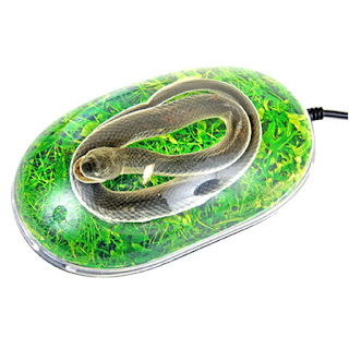 Snake Computer Mouse with Grass Print Background