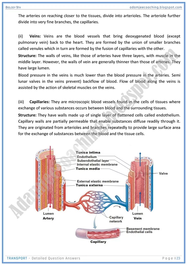 transport-detailed-question-answers-biology-9th