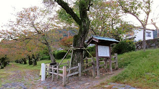 人文研究見聞録：錦帯橋・吉香公園 ［山口県］