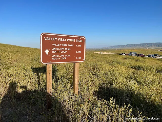 Antelope Valley California Poppy Reserve Best Time To Visit, California