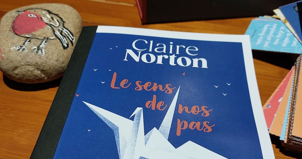 Les curiosités de Didi !: Le sens de nos pas Claire Norton