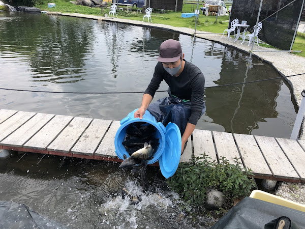 山梨県昭和町の釣り堀 おさかなつり とと