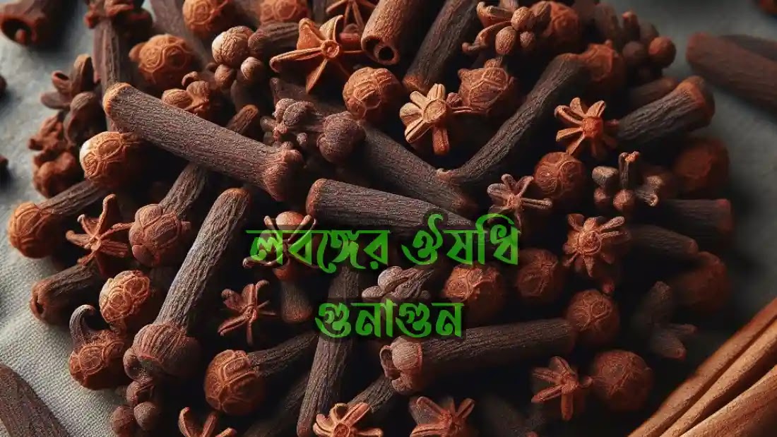 বিশেষ গুনাগুণ