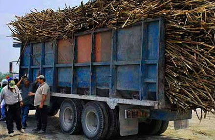 Trabajadores de Ingenio reclaman prestaciones y no descartan paro de la industria azucarera de QR