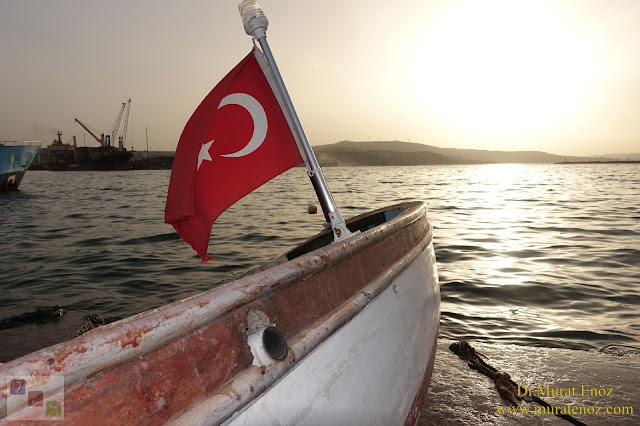 Bandırma Sahili - Tüm Otel Restaurant - Bandırma Fotoğrafları - Bandırma Sahili Fotoğrafları - Bandırma Görüntüleri - Bandırma Fotoları - Bandırma Manzaraları - Bandırma Plajları