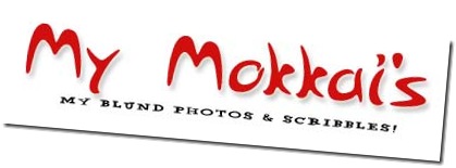 My Mokkai