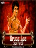 3d-Bruce-Lee-Iron-Fist