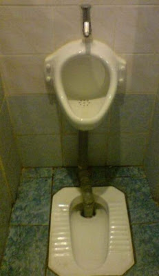 unusual toilets