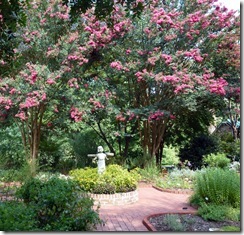 Arboretum at Tanglewood