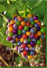 MENTIRA 2 New-Colorful-Rainbow-Grapes