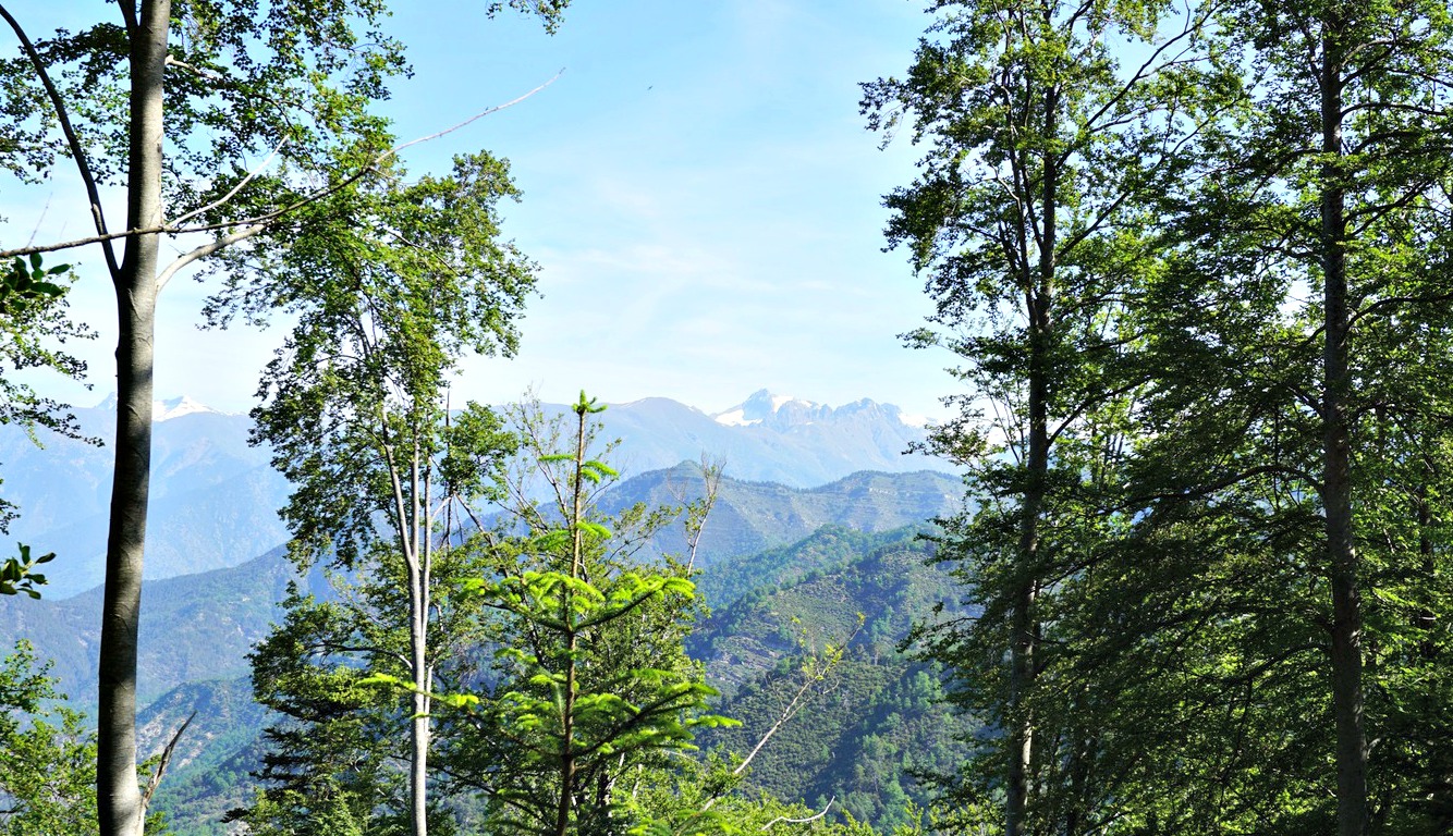 View north from trail to Cime de Rocaillon