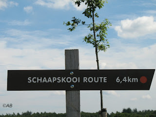 wandeling de schaapskooiroute