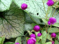 The Hidden Dimension in Landscape Design