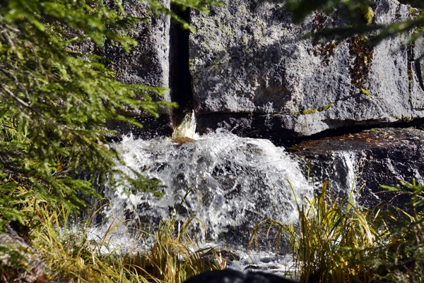 kollsjøen urdevasselva