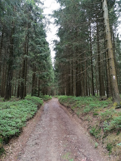 Sauerland wandern Wetter blog Rothaargebirge