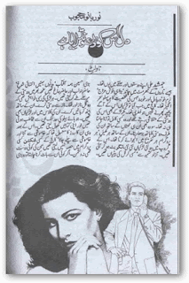 Dil us ko dhond laya hai novel by Noor Bano Mahjoob Online Reading