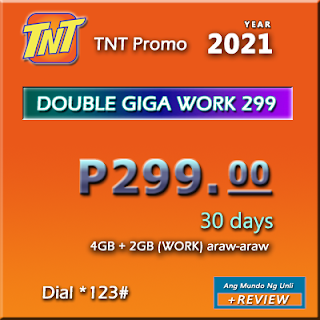 TNT DOUBLE GIGA WORK 299