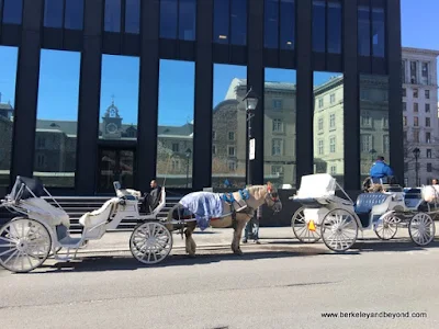 horse-drawn carriages waiting for a fare in Vieux-Montréal, Canada