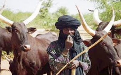 Herdsmen killings in Nigeria