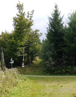 Mauzenstein am ansteigenden Weg im Hintergrund der Wegekreuzung