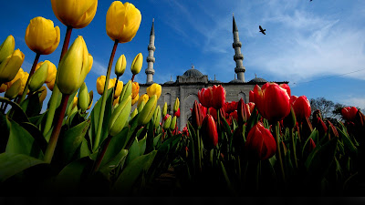 Loreena McKennitt  - The Gates of Istanbul (İstanbul'un Kapıları) Türkçe Altyazılı