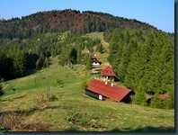 DSCN8046