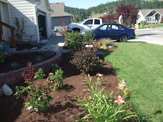 Front Yard Landscaping