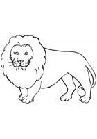 اسد للتلوين