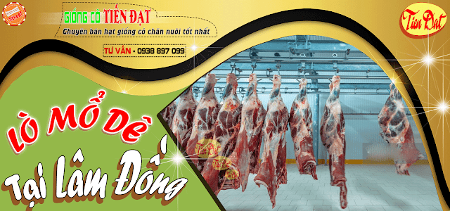 Lò mổ dê Lâm Đồng bán thịt dê giá rẻ