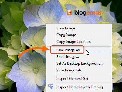 Cara Cropping Online Foto di Situs Resize